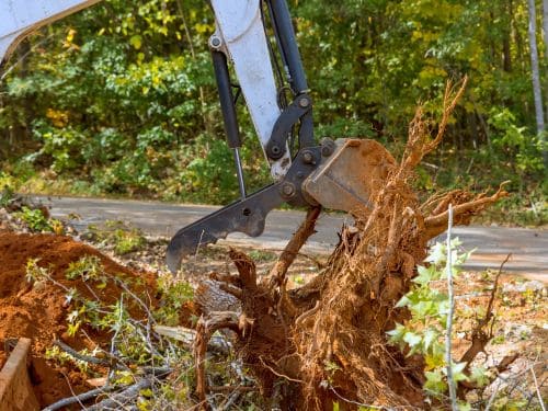 Tree Topping Huntsville