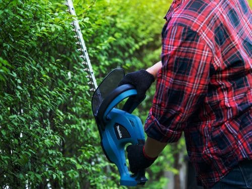 Tree Topping Huntsville