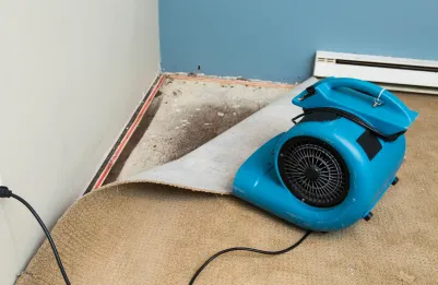 pic of water damage under a rug