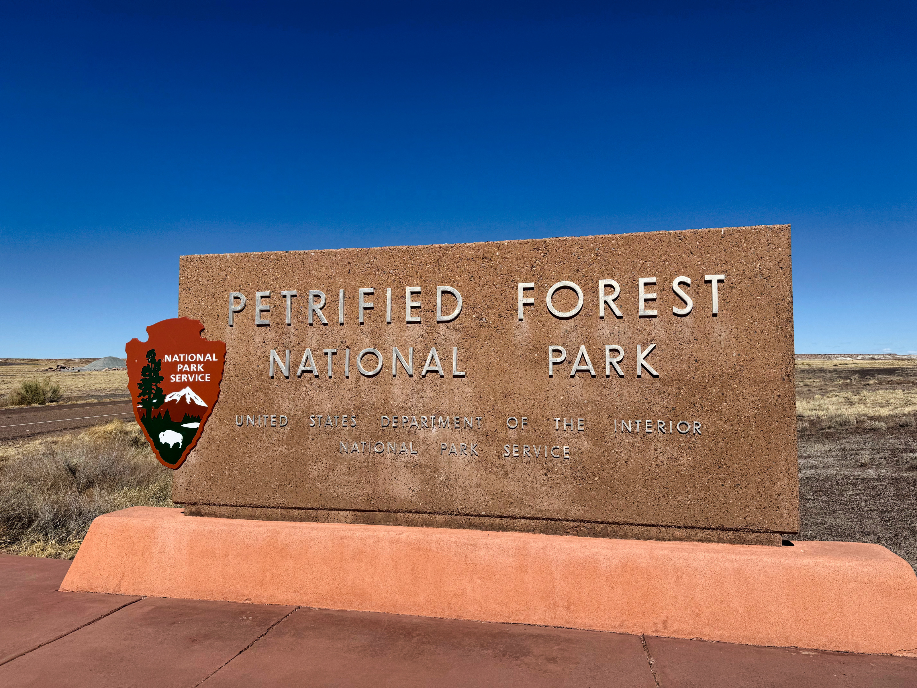 Release What's Fossilized in Your Culture: Petrified Forest