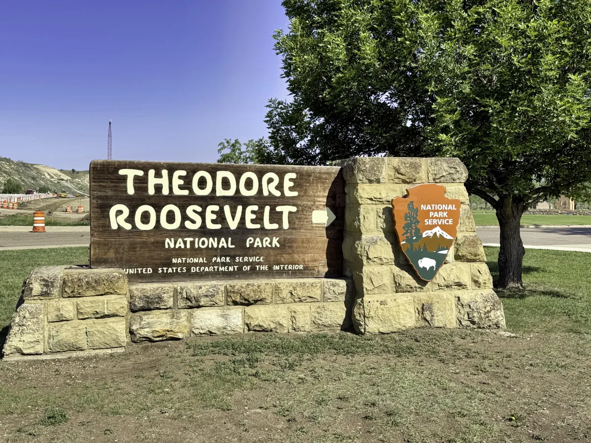 Lead by Vision, Not Momentum: Theodore Roosevelt NP
