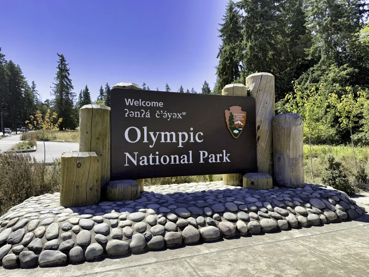 Shift Worlds Without Losing Yourself: Olympic's Three Zones