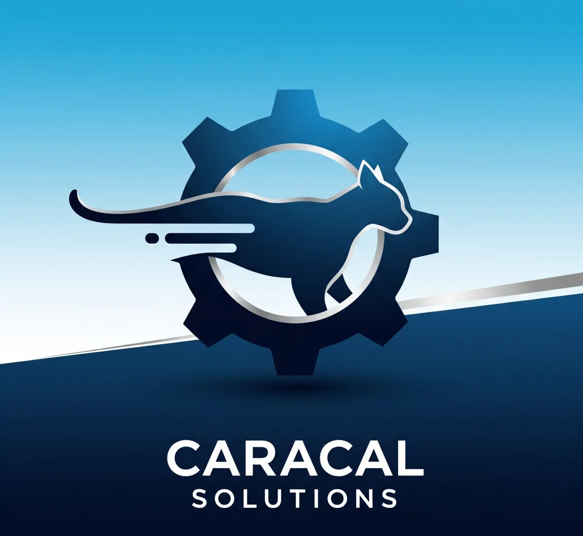 Caracal Soltions