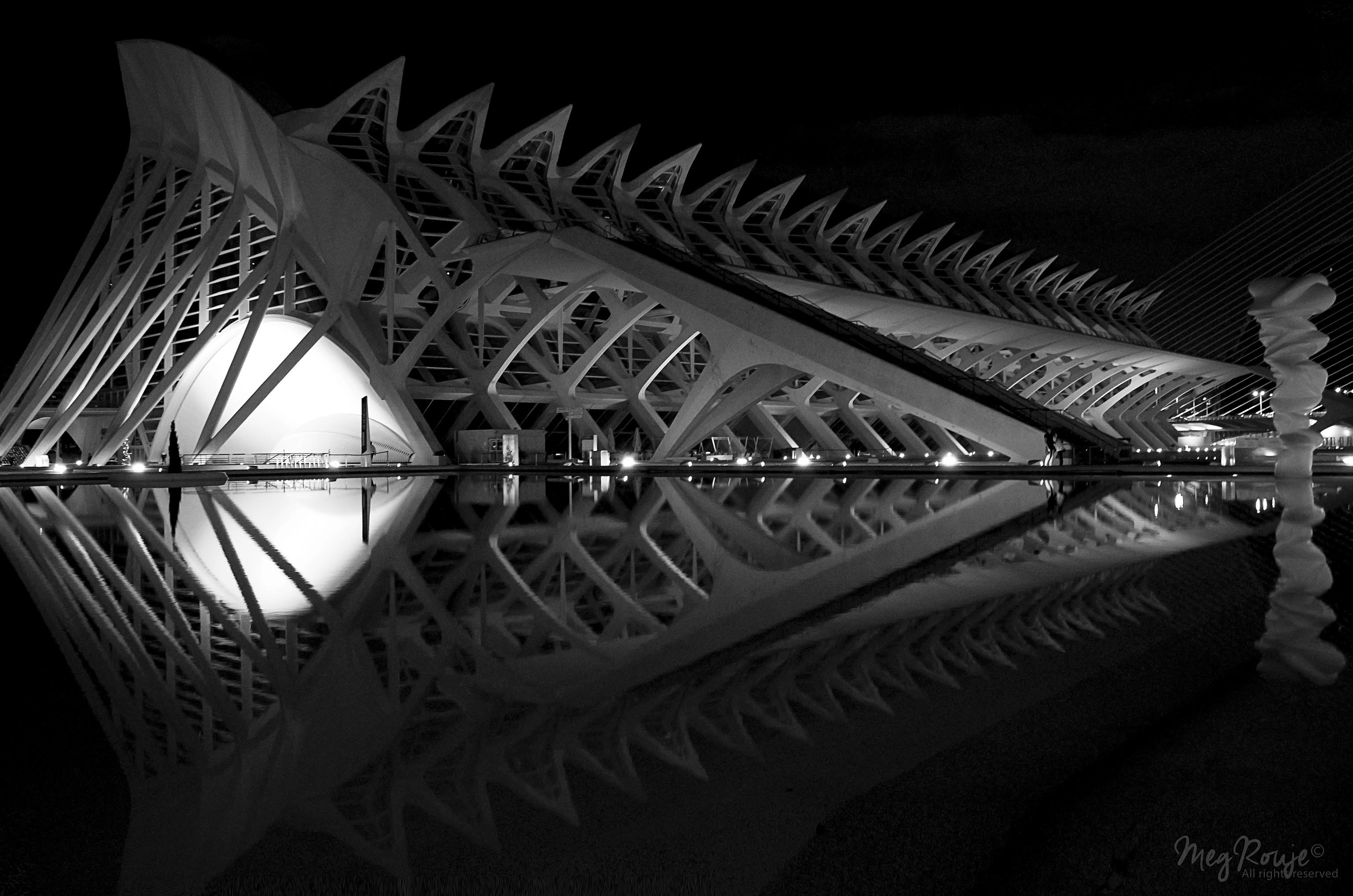 symmetry of architecture at the city of arts showing the fish skeleton figure