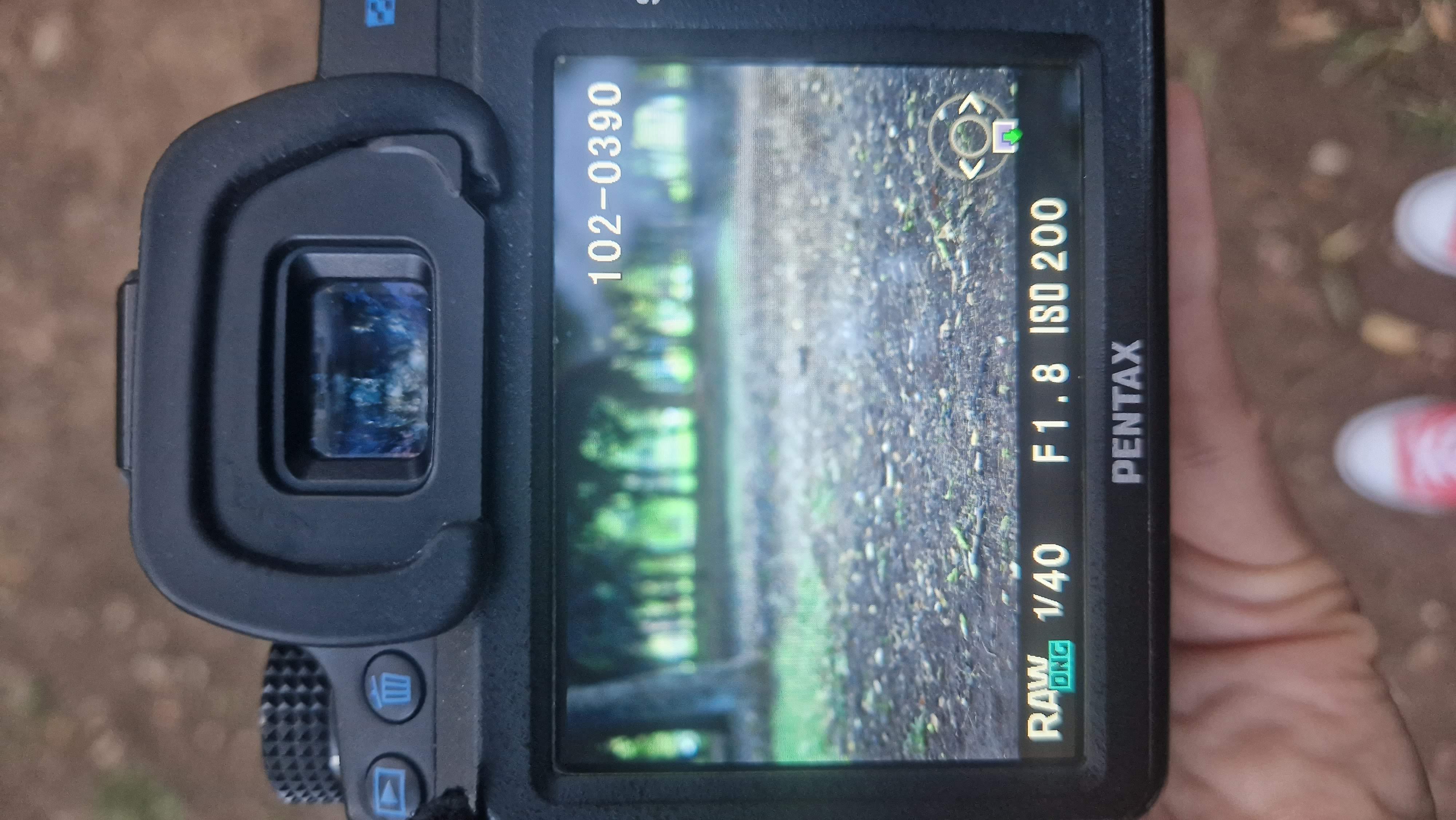 a photo of valencias turia park from the camera screen