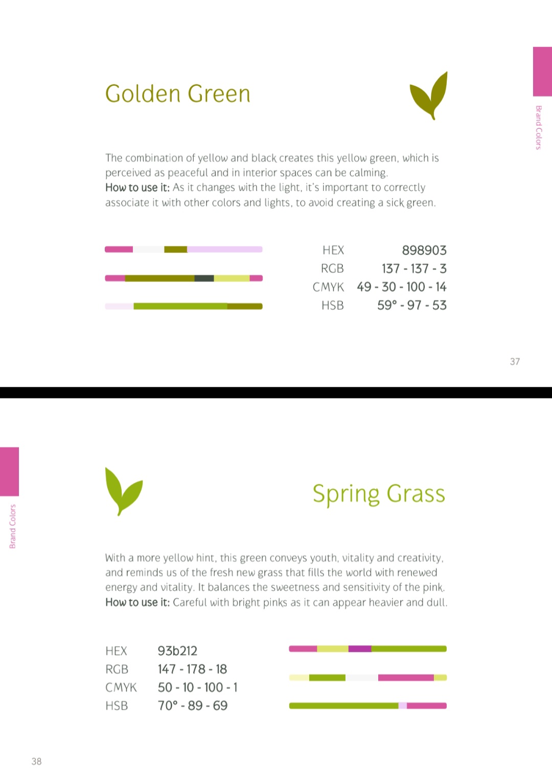 Color strategy book for color usage and proportion in a wellness studio