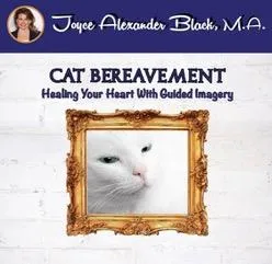 cat bereavement