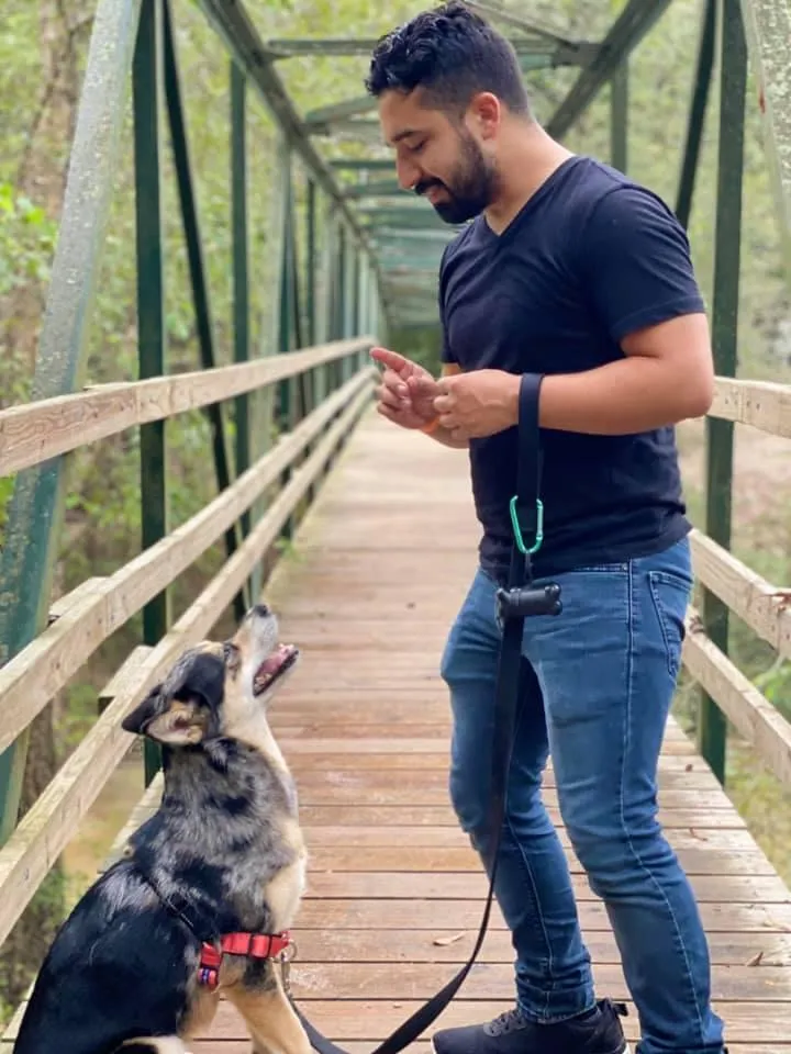 Dog Trainer Steven Tallas in Austin TX