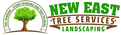 New East