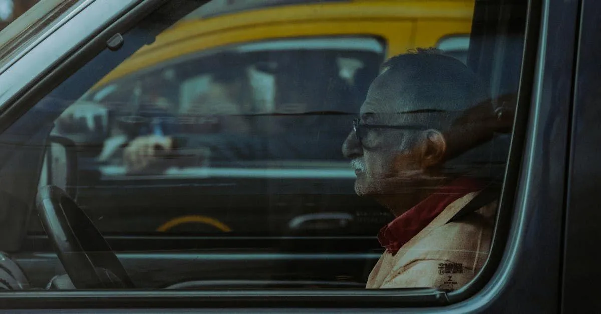 Paint Protection Film