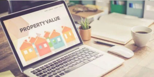 Getting Results with Area Expert