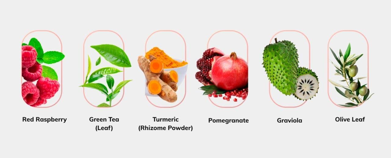 memo max pro ingredients