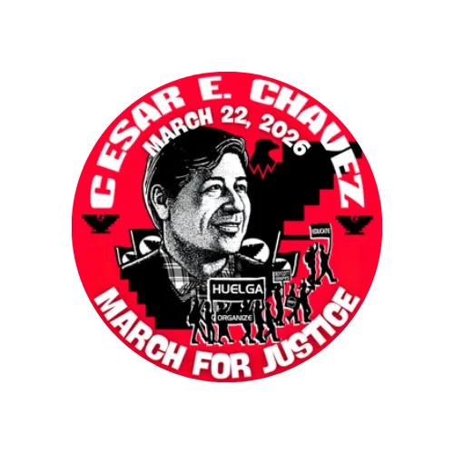 Affiliate content creators