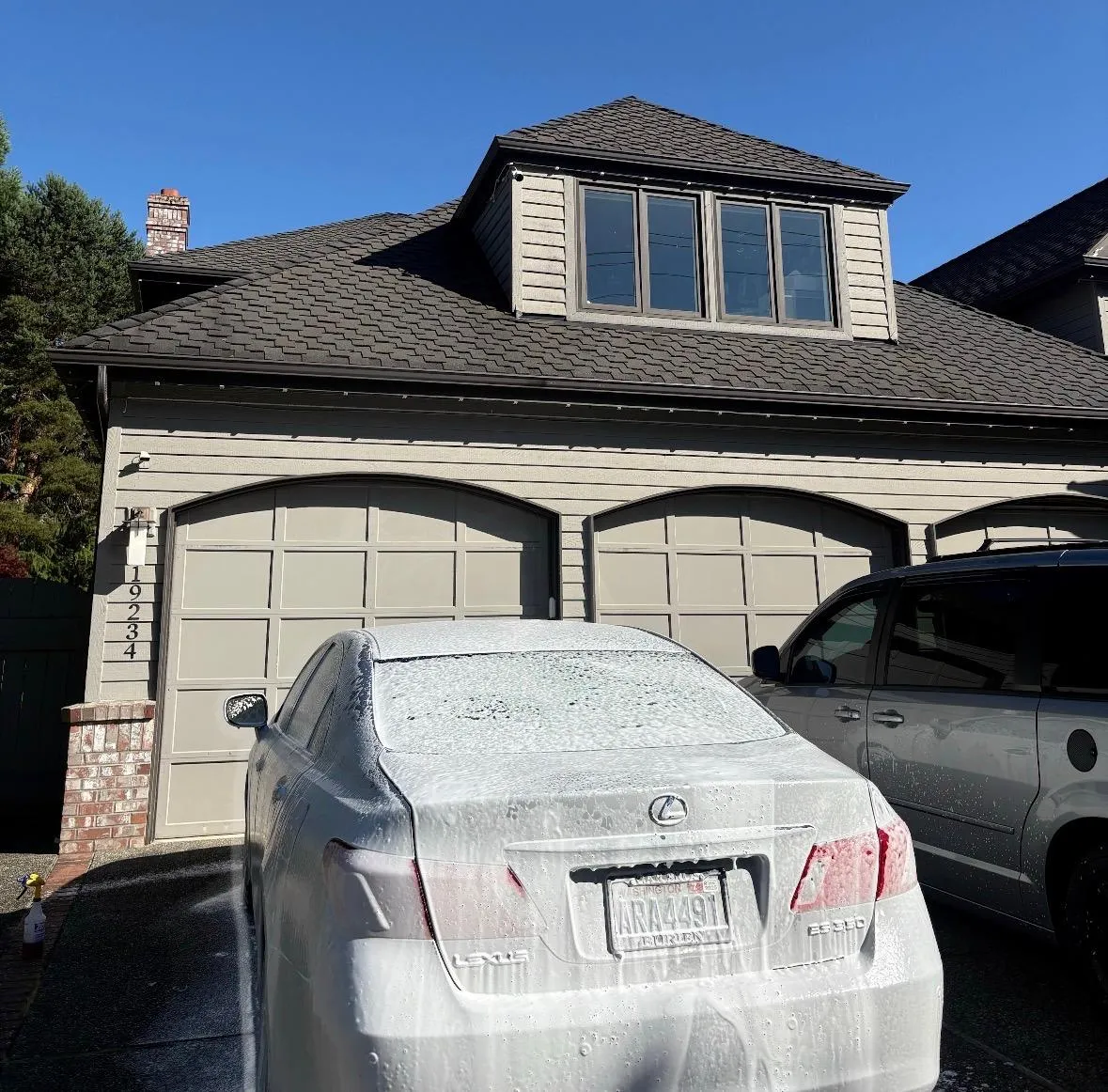 Carpet & Seat Shampoo + Steam Cleaning Seattle