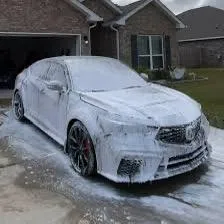 Foam Cannon Wash in Seattle