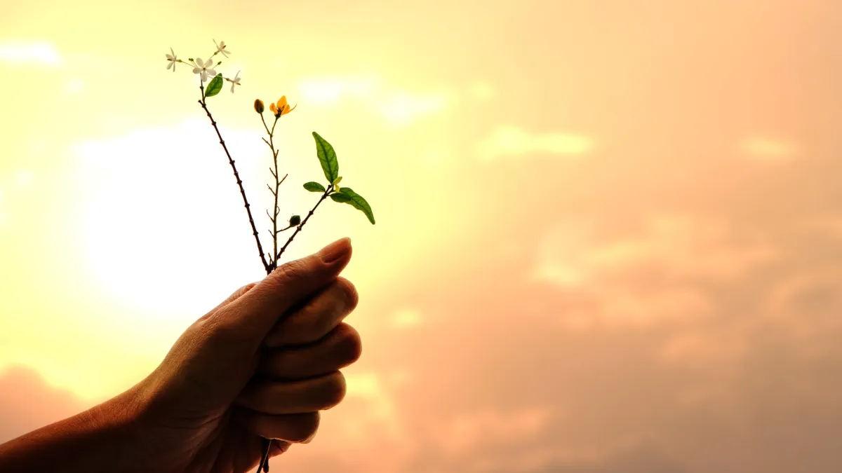 How Gratitude Changes Your Health (Backed by Science) | O’Fallon, MO Chiropractor