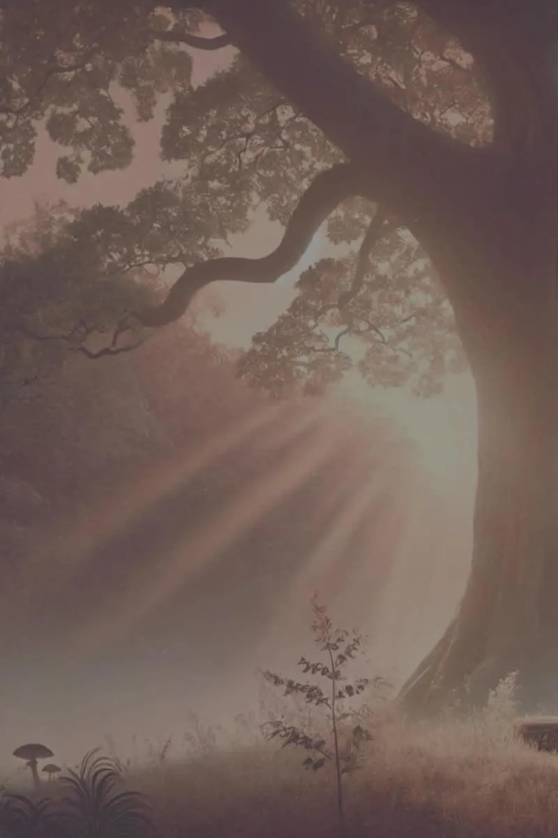 The Power of Calm Consistency: Why Soft Strength Is Real Strength