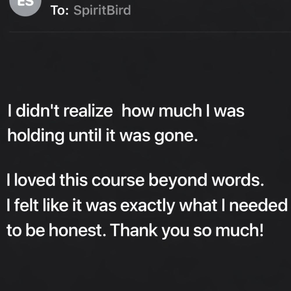 Testimonial about emotional reset helping release emotional weight and feel exactly what was needed
