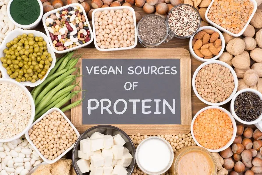 vegan sources of protein