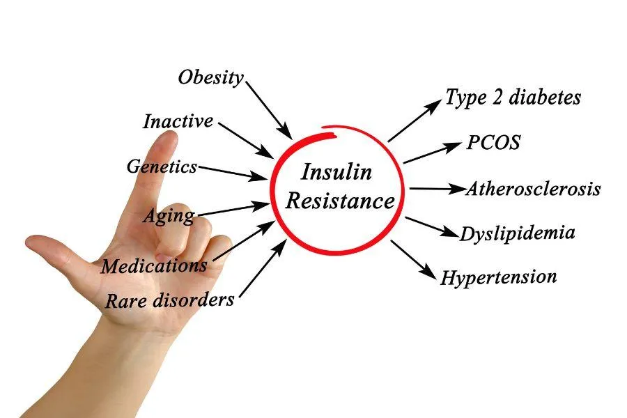 hormones and weight loss on a vegan diet