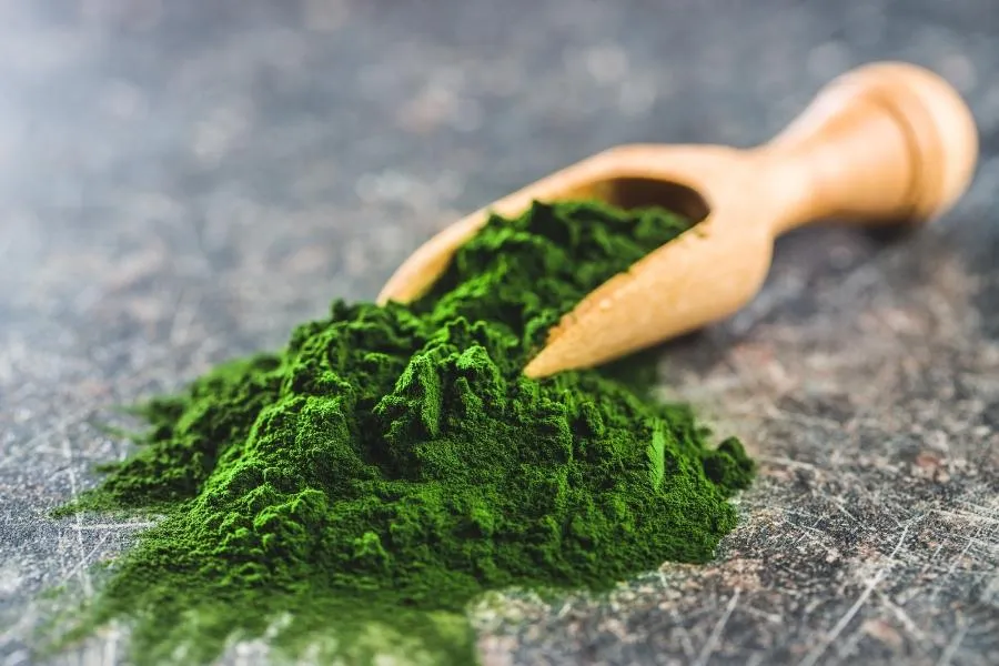 Spirulina is a plant-based protein-packed powerhouse