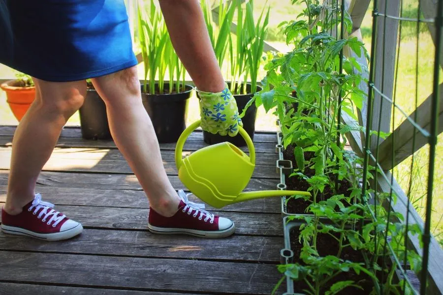 woman watering plants