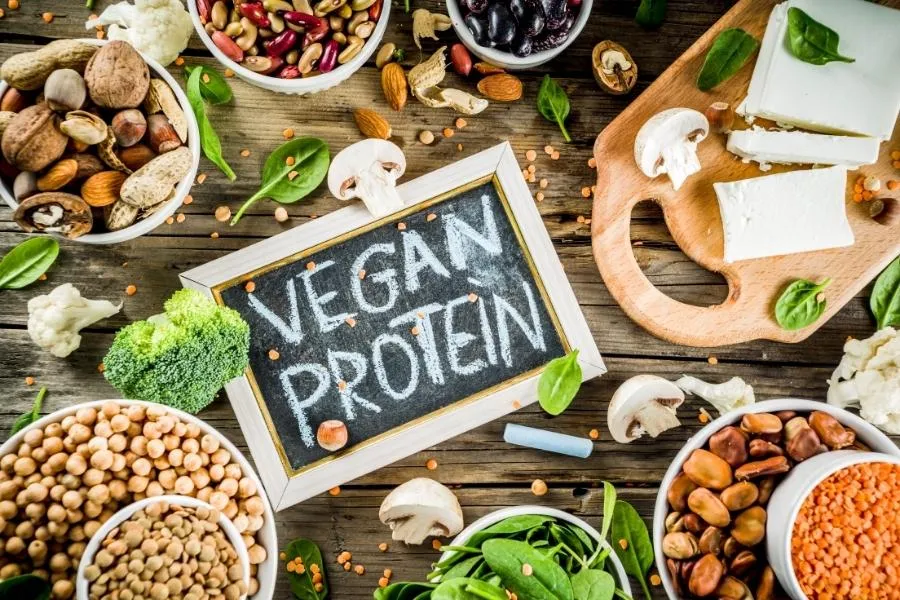 plant based protein for menopausal vegans