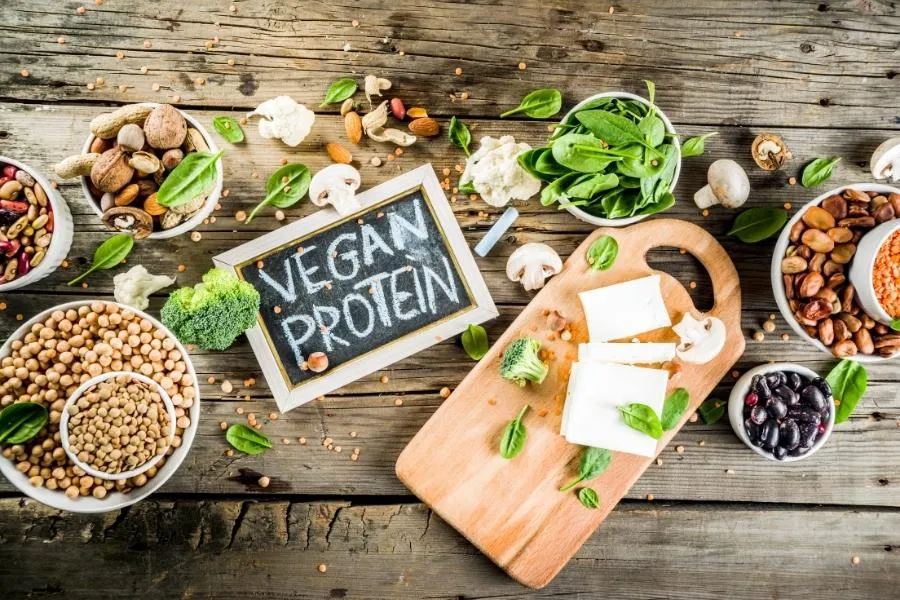 vegan protein