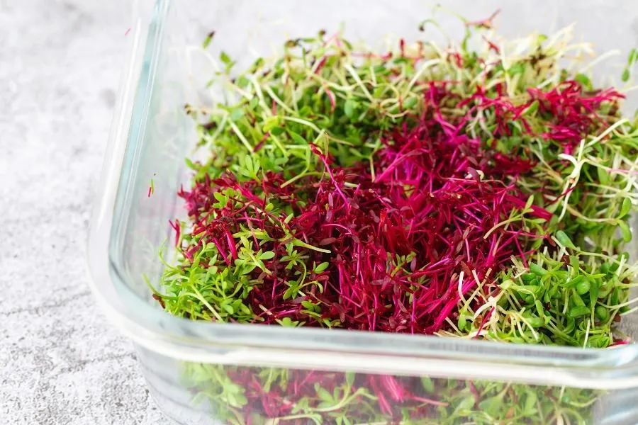 microgreens