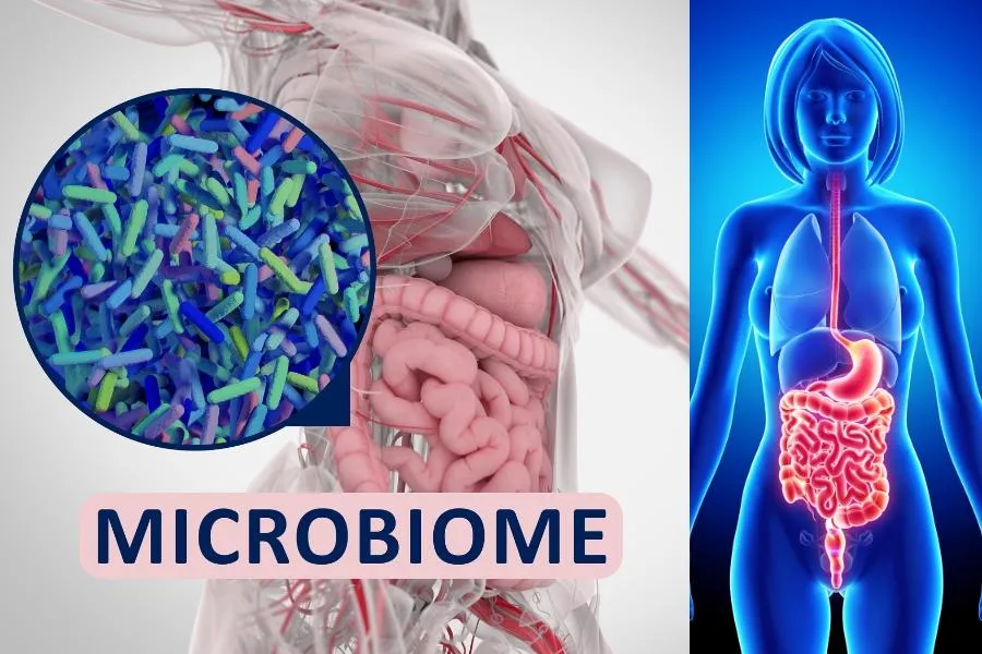 microbiome