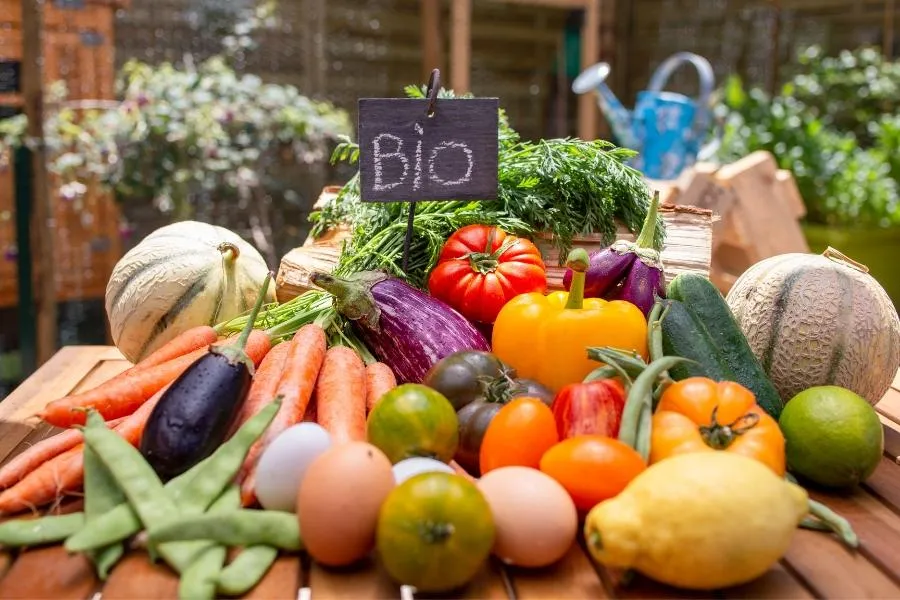 collection of vegetables
