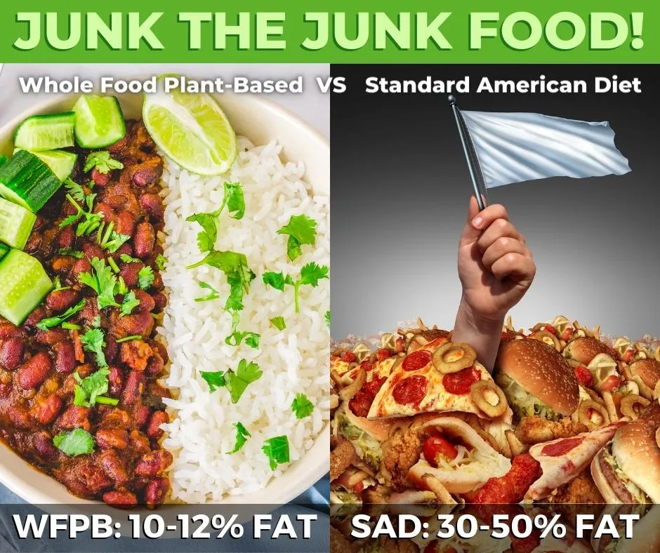 Junk food v plant based whole food