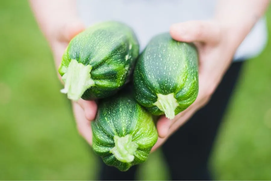 courgettes