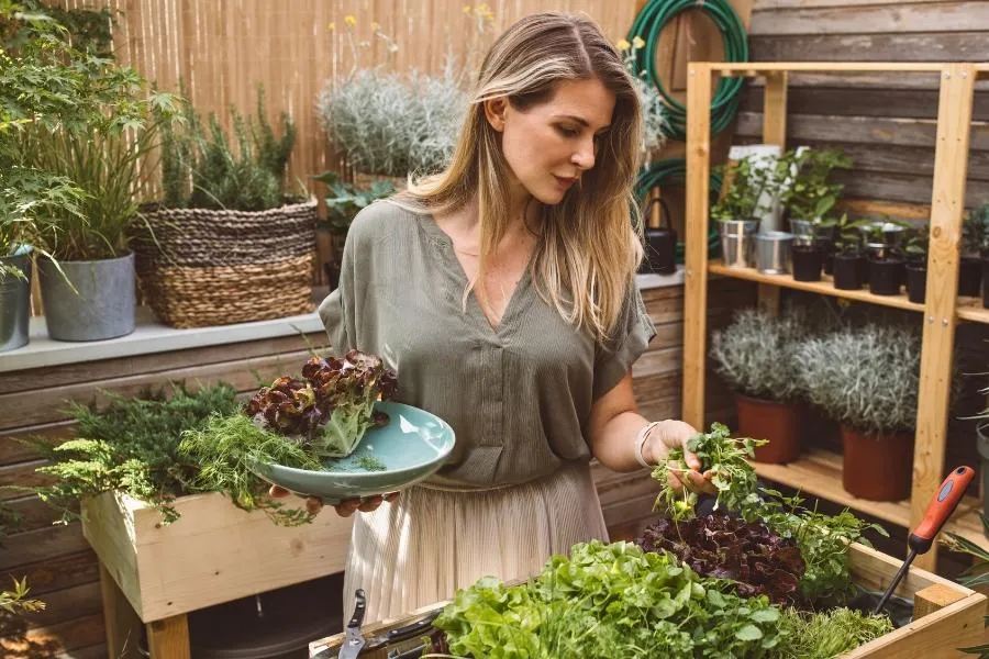 Harvest Freshness Fast: 6 Easy-Care Veg for Busy Vegans