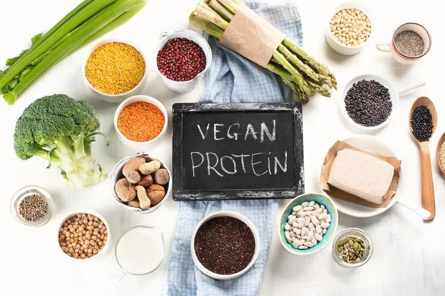 vegan protein