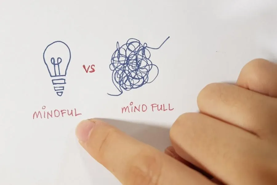 mindful v mind full