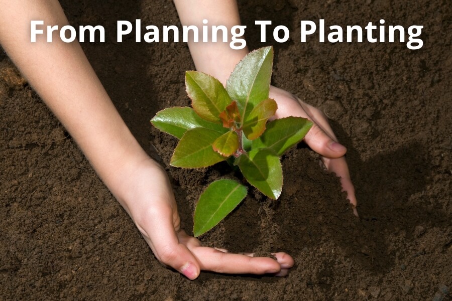Gardener planting a young shrub in fresh soil, symbolising the garden design and planting process.