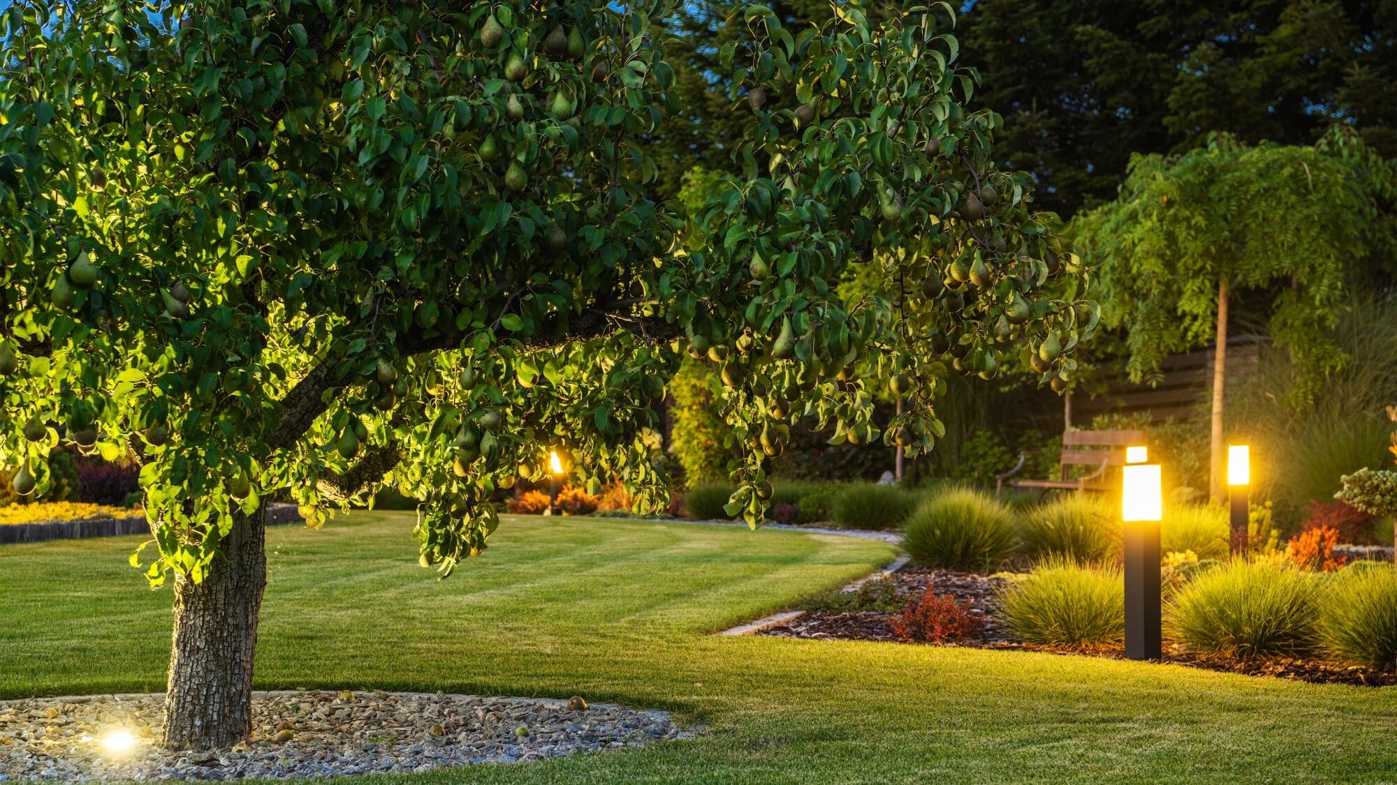 Evening garden lighting illuminating lawn and planting in landscaped garden in Banstead village