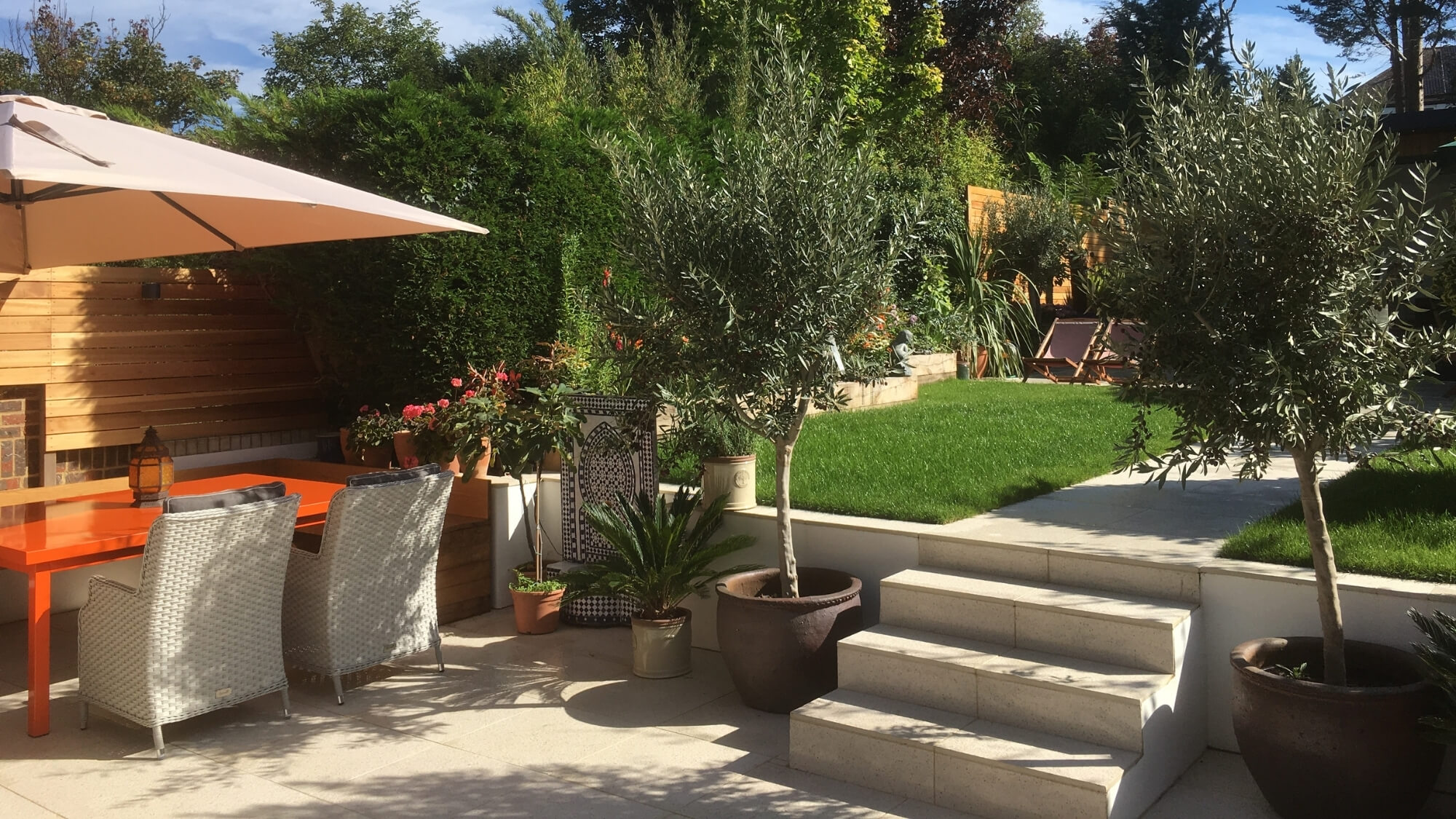 Contemporary garden terrace with olive trees and modern planting in Carshalton Beeches
