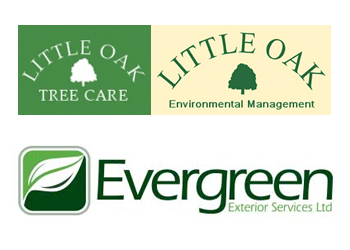 Local partners Little Oak Tree Care and Evergreen Exterior Services logos