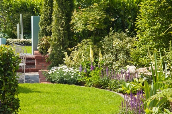 Ornamental garden planting with shrubs, perennials and well-maintained borders