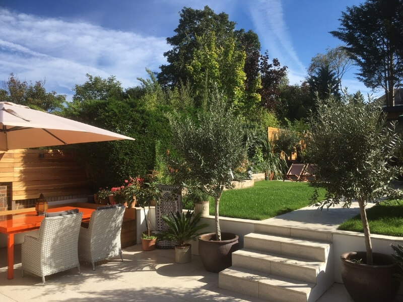 Eco-friendly modern garden with olive trees, outdoor dining area and lush planting in a contemporary landscaped space