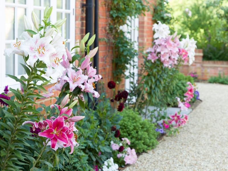 Restored heritage garden with lilies, natural gravel and traditional brickwork — example of garden restoration