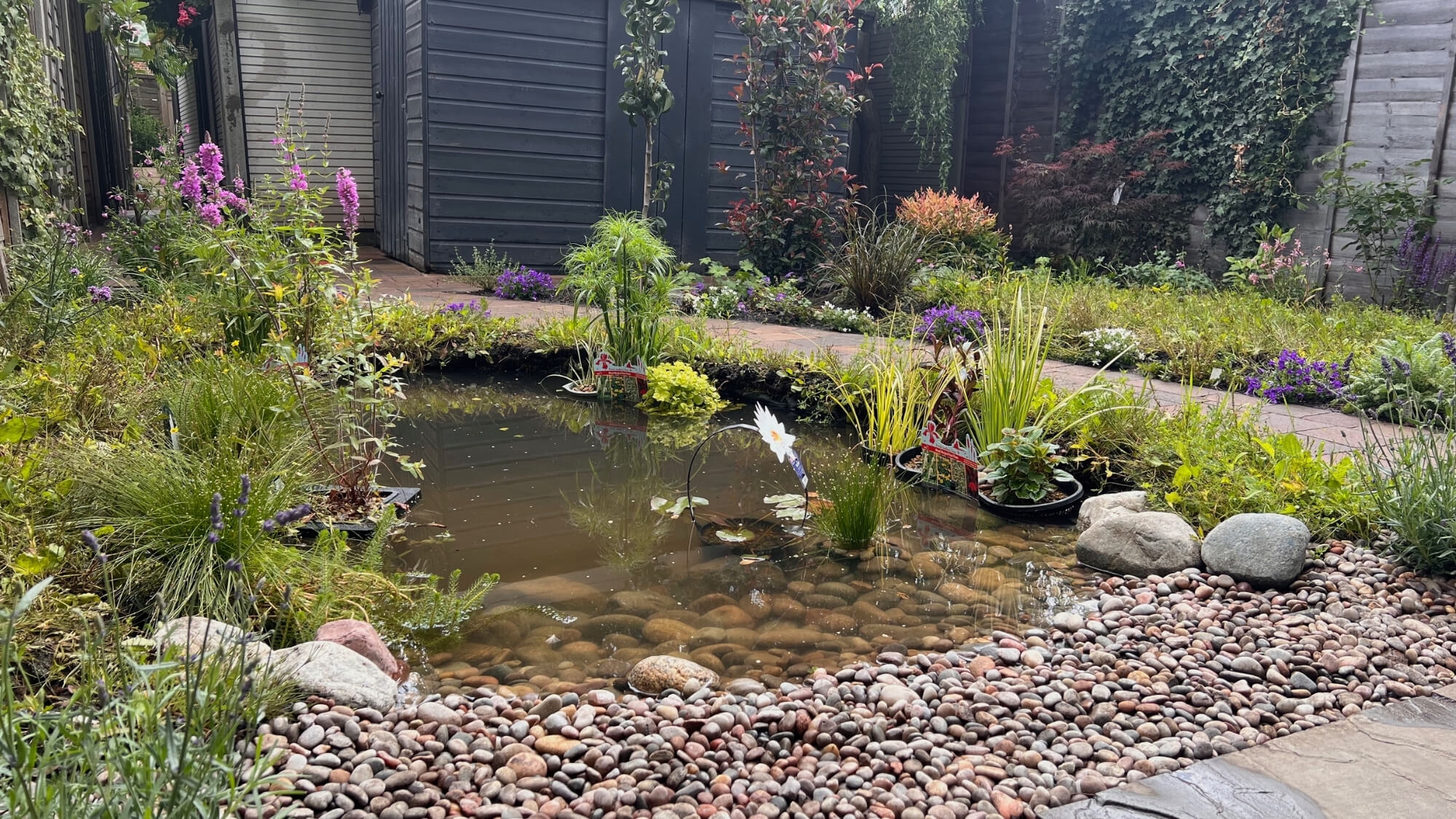 Natural wildlife pond with pebble beach and planting in South Croydon garden design project