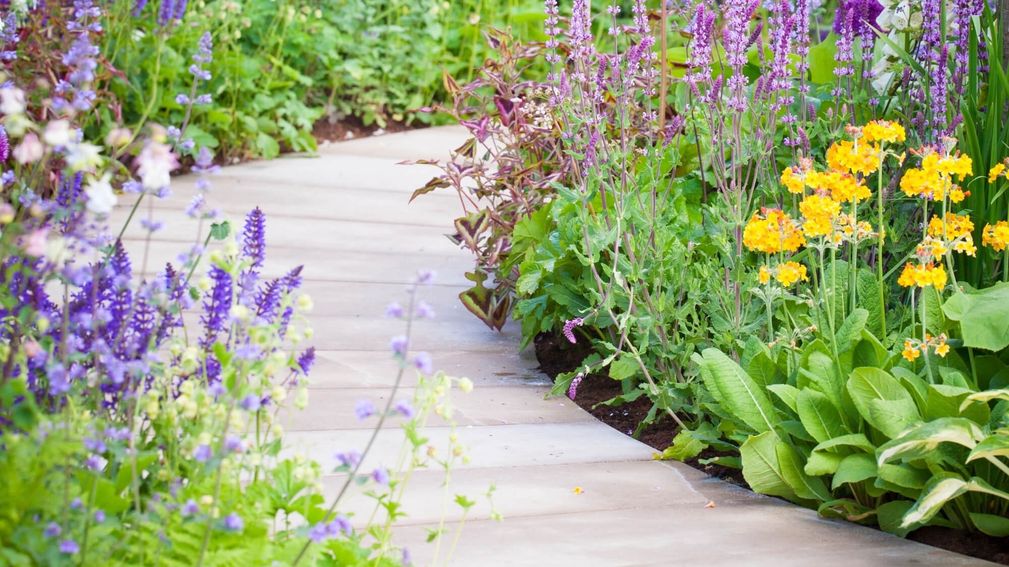 garden design masterplan for bespoke south london garden project