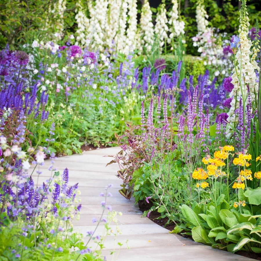 garden design in Sutton with colourful planting borders and curved garden pathway