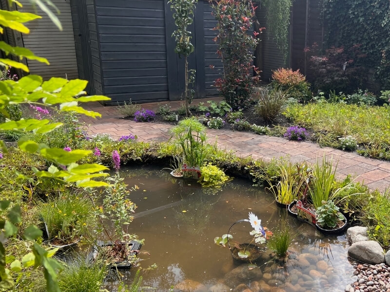 Wildlife pond with aquatic plants and natural stone pebble beach in South Croydon garden design