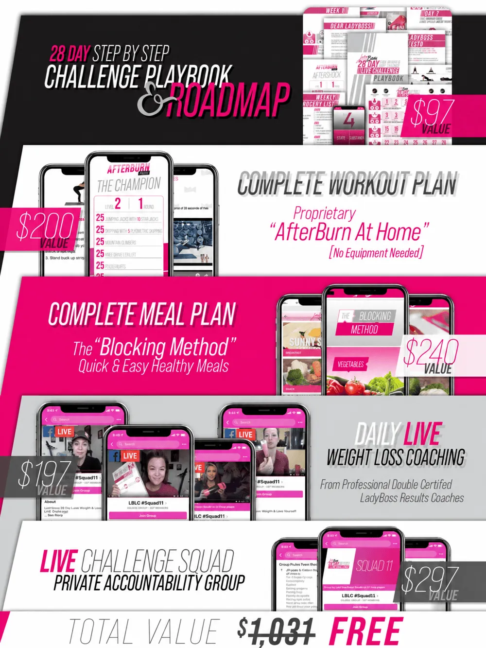 Graphic listing what’s included in the LadyBoss 28 Day Challenge and the stated total value of $1,031.