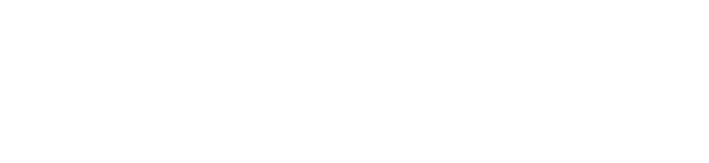 LadyBoss logo.