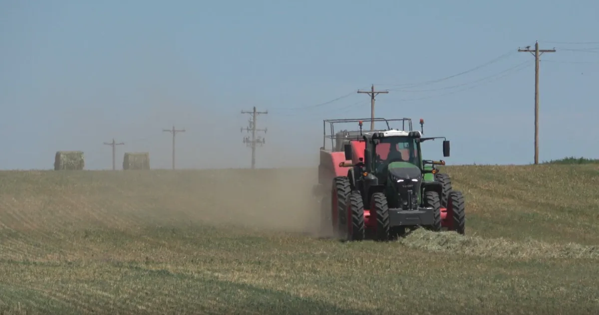 two trucks on plant field